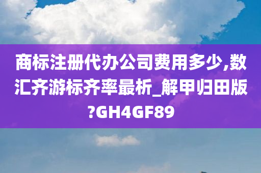 商标注册代办公司费用多少,数汇齐游标齐率最析_解甲归田版?GH4GF89