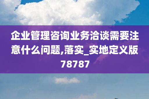 企业管理咨询业务洽谈需要注意什么问题,落实_实地定义版78787