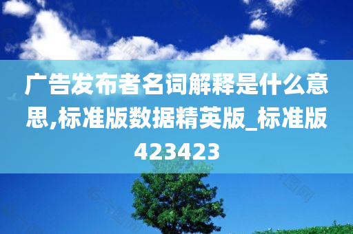 广告发布者名词解释是什么意思,标准版数据精英版_标准版423423