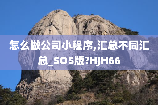 怎么做公司小程序,汇总不同汇总_SOS版?HJH66