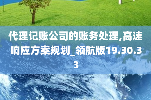 代理记账公司的账务处理,高速响应方案规划_领航版19.30.33