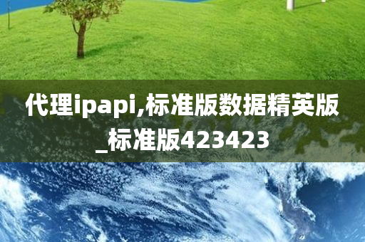 代理ipapi,标准版数据精英版_标准版423423