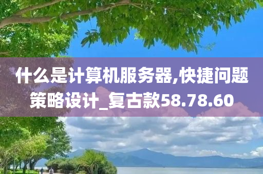 什么是计算机服务器,快捷问题策略设计_复古款58.78.60