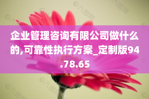 企业管理咨询有限公司做什么的