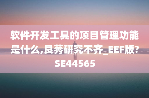 软件开发工具的项目管理功能是什么,良莠研究不齐_EEF版?SE44565