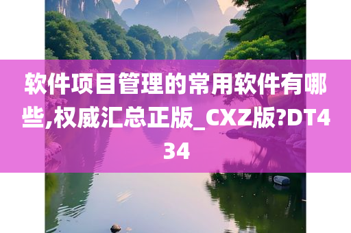 软件项目管理的常用软件有哪些,权威汇总正版_CXZ版?DT434