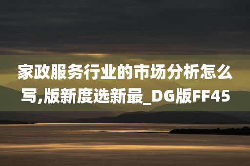 家政服务行业的市场分析怎么写,版新度选新最_DG版FF45