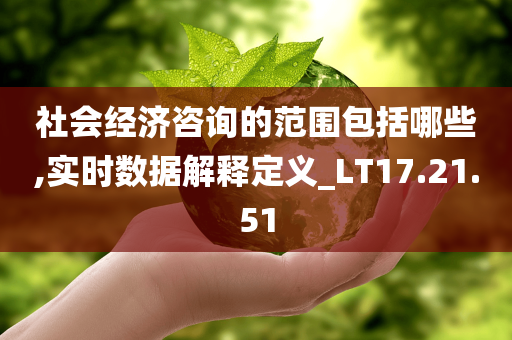 社会经济咨询的范围包括哪些,实时数据解释定义_LT17.21.51