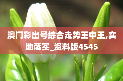 澳门彩出号综合走势王中王,实地落实_资料版4545