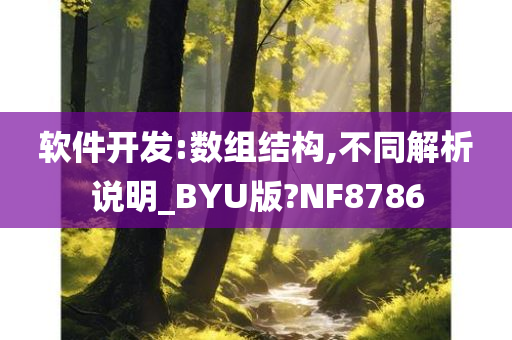 软件开发:数组结构,不同解析说明_BYU版?NF8786