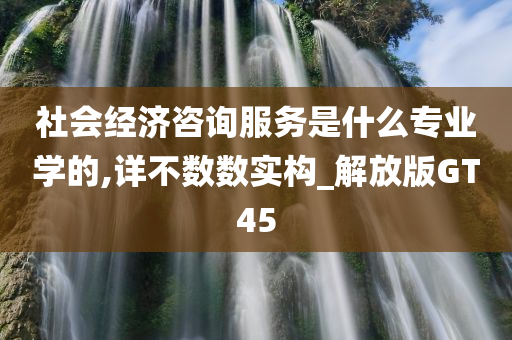 社会经济咨询服务是什么专业学的,详不数数实构_解放版GT45