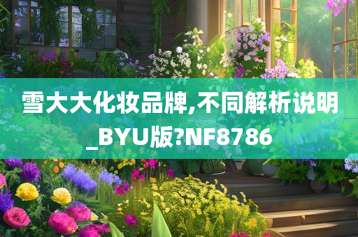 雪大大化妆品牌,不同解析说明_BYU版?NF8786