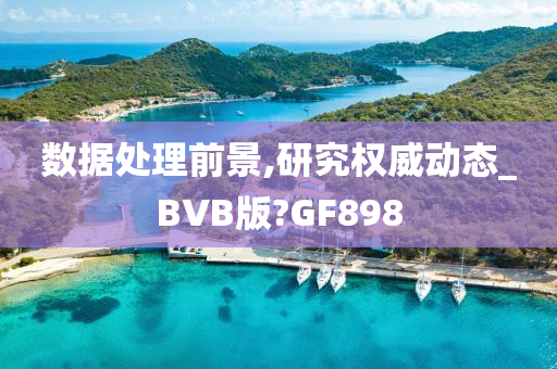 数据处理前景,研究权威动态_BVB版?GF898