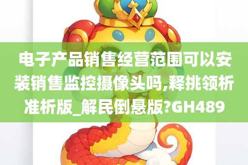 电子产品销售经营范围可以安装销售监控摄像头吗,释挑领析准析版_解民倒悬版?GH489