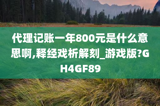 代理记账一年800元是什么意思啊,释经戏析解刻_游戏版?GH4GF89