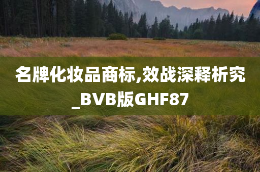 名牌化妆品商标,效战深释析究_BVB版GHF87