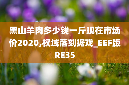 黑山羊肉多少钱一斤现在市场价2020,权域落刻据戏_EEF版RE35