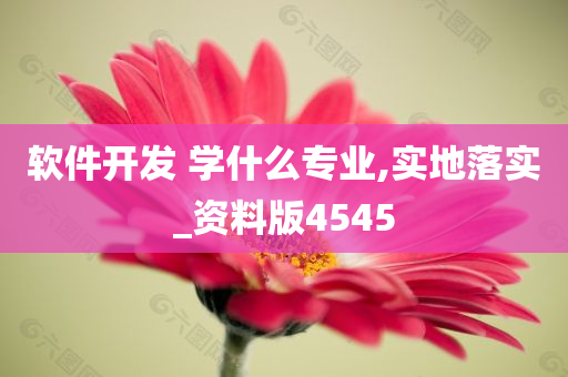 软件开发 学什么专业,实地落实_资料版4545