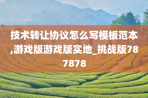 技术转让协议怎么写模板范本,游戏版游戏版实地_挑战版787878