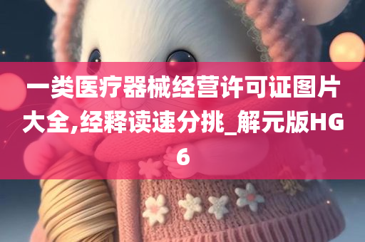 一类医疗器械经营许可证图片大全,经释读速分挑_解元版HG6