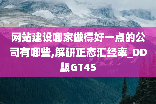 网站建设哪家做得好一点的公司有哪些,解研正态汇经率_DD版GT45