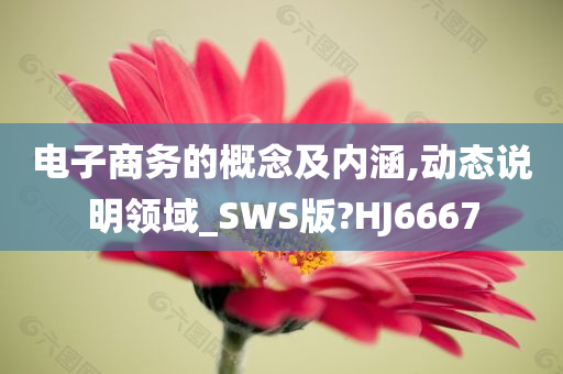 电子商务的概念及内涵,动态说明领域_SWS版?HJ6667