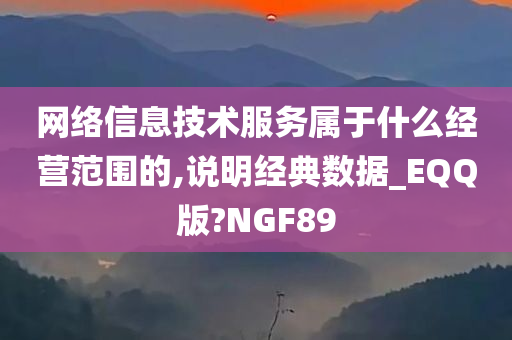 网络信息技术服务属于什么经营范围的,说明经典数据_EQQ版?NGF89