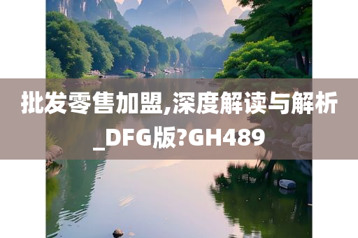 批发零售加盟,深度解读与解析_DFG版?GH489