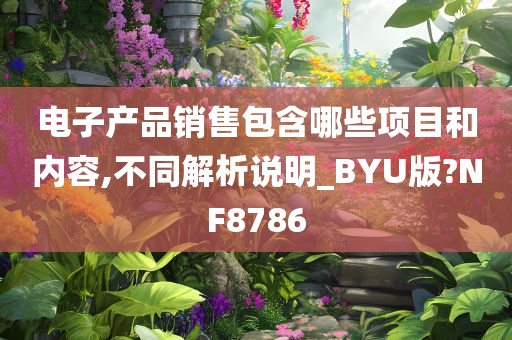 电子产品销售包含哪些项目和内容,不同解析说明_BYU版?NF8786