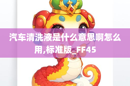 汽车清洗液是什么意思啊怎么用,标准版_FF45