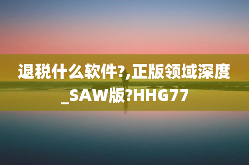 退税什么软件?,正版领域深度_SAW版?HHG77