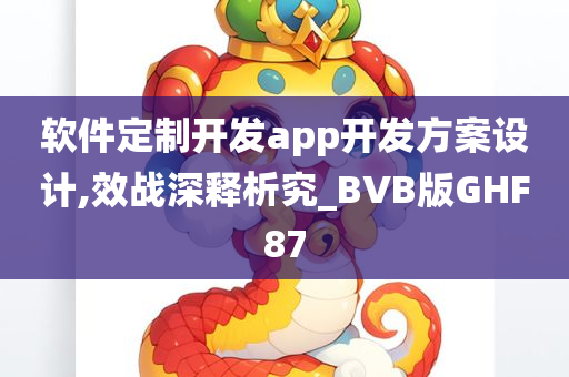 软件定制开发app开发方案设计,效战深释析究_BVB版GHF87