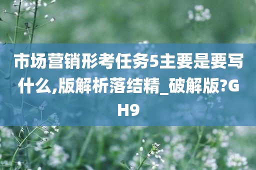 市场营销形考任务5主要是要写什么,版解析落结精_破解版?GH9