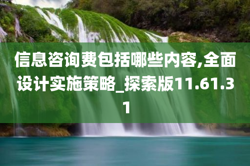 信息咨询费包括哪些内容,全面设计实施策略_探索版11.61.31