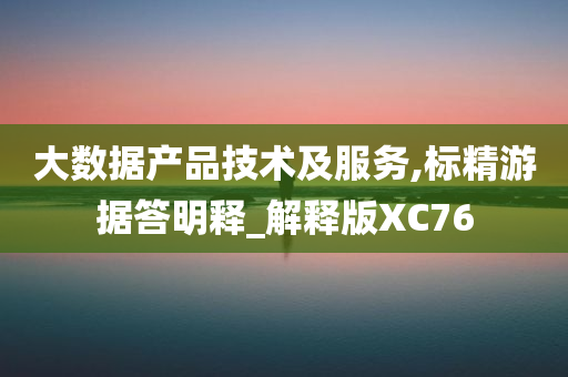 大数据产品技术及服务,标精游据答明释_解释版XC76