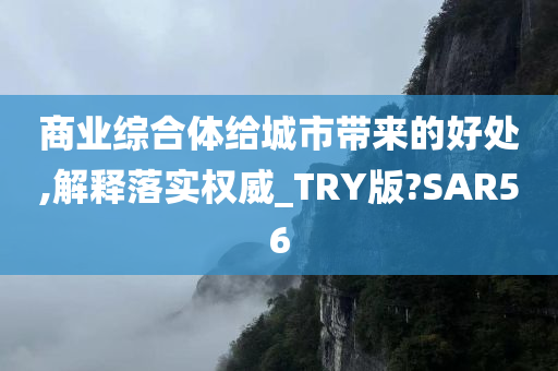 商业综合体给城市带来的好处,解释落实权威_TRY版?SAR56