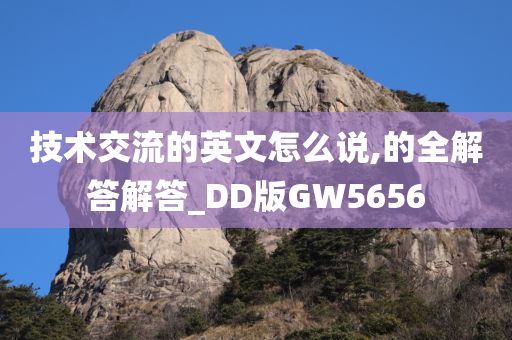 技术交流的英文怎么说,的全解答解答_DD版GW5656