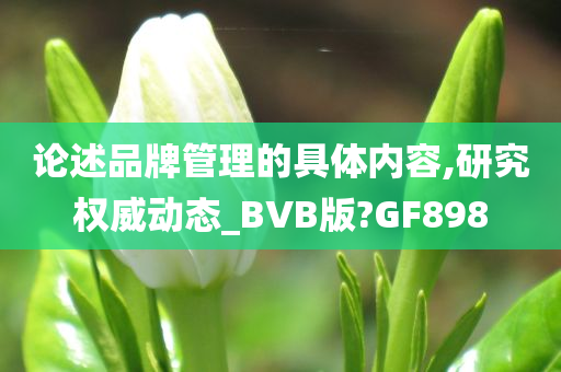 论述品牌管理的具体内容,研究权威动态_BVB版?GF898