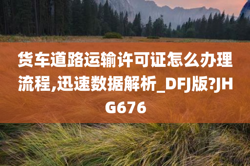 货车道路运输许可证怎么办理流程,迅速数据解析_DFJ版?JHG676