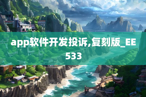 app软件开发投诉,复刻版_EE533