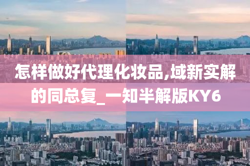 怎样做好代理化妆品,域新实解的同总复_一知半解版KY6