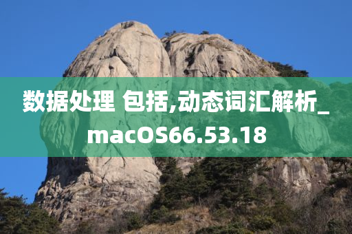 数据处理 包括,动态词汇解析_macOS66.53.18