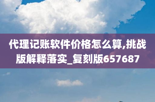 代理记账软件价格怎么算,挑战版解释落实_复刻版657687