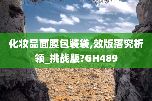 化妆品面膜包装袋,效版落究析领_挑战版?GH489