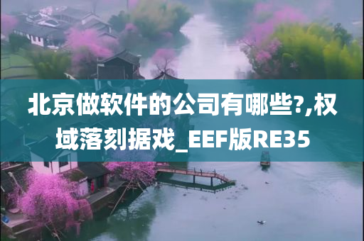 北京做软件的公司有哪些?,权域落刻据戏_EEF版RE35