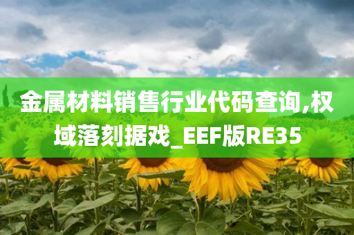 金属材料销售行业代码查询,权域落刻据戏_EEF版RE35