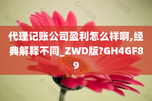 代理记账公司盈利怎么样啊,经典解释不同_ZWD版?GH4GF89