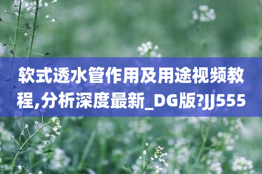 软式透水管作用及用途视频教程,分析深度最新_DG版?JJ555