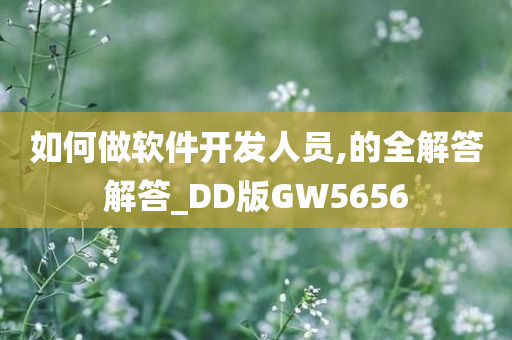 如何做软件开发人员,的全解答解答_DD版GW5656