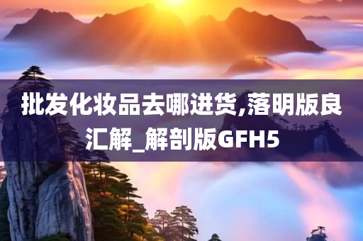 批发化妆品去哪进货,落明版良汇解_解剖版GFH5